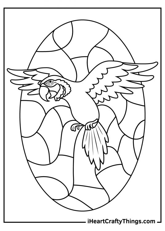 Parrots-inspired illustration featuring macaw parrot with wings spread wide and an oval stained glass window behind it