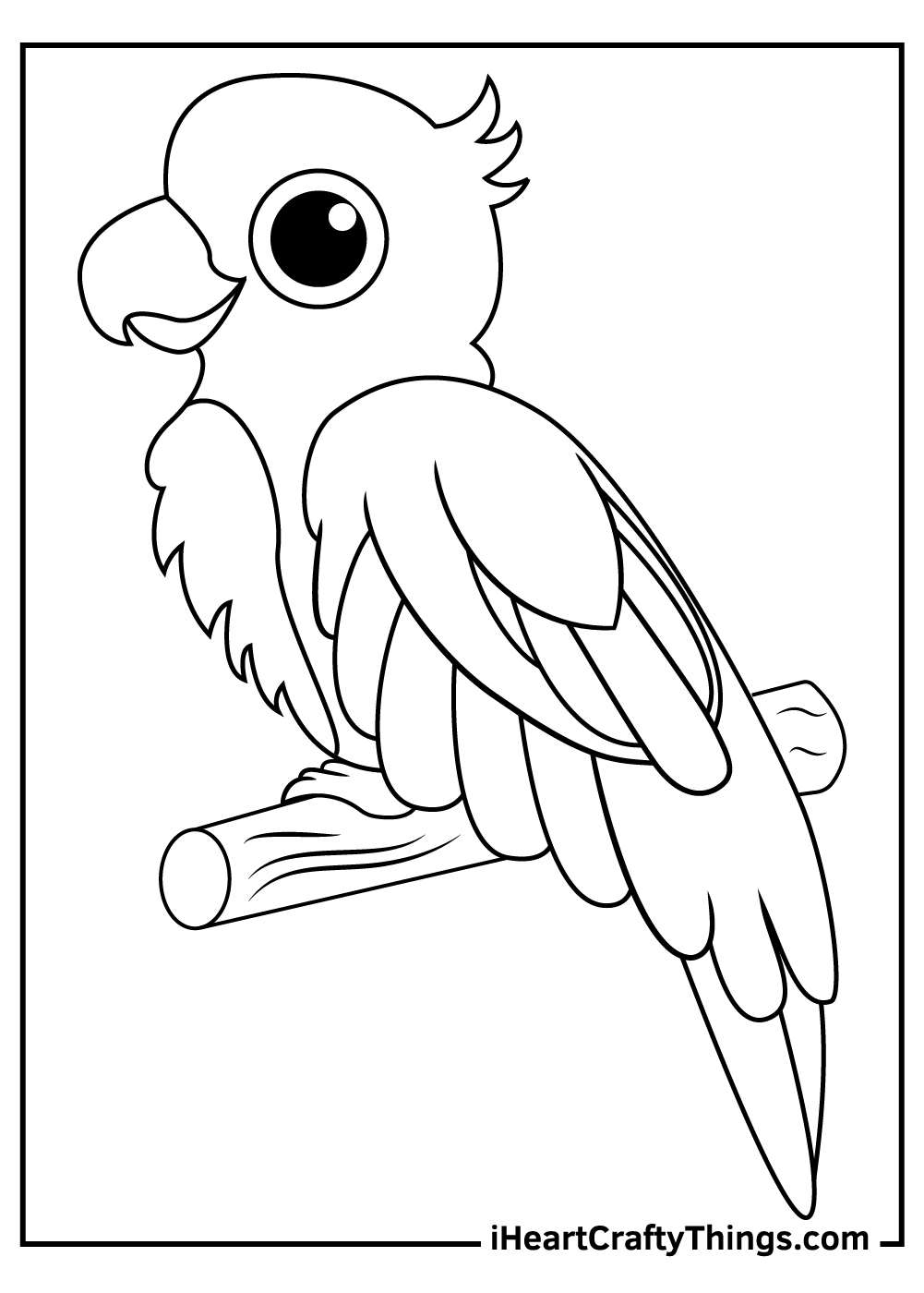 parrot drawing for colouring