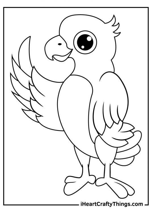 Parrots coloring pages