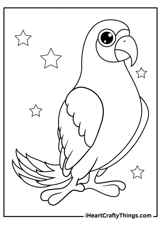 Parrots-themed picture to print and color featuring parrot with stars all around it