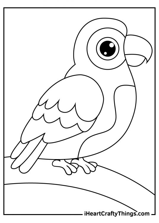 Parrots-themed picture for pre-schoolers presenting parrot drawn in a simple style