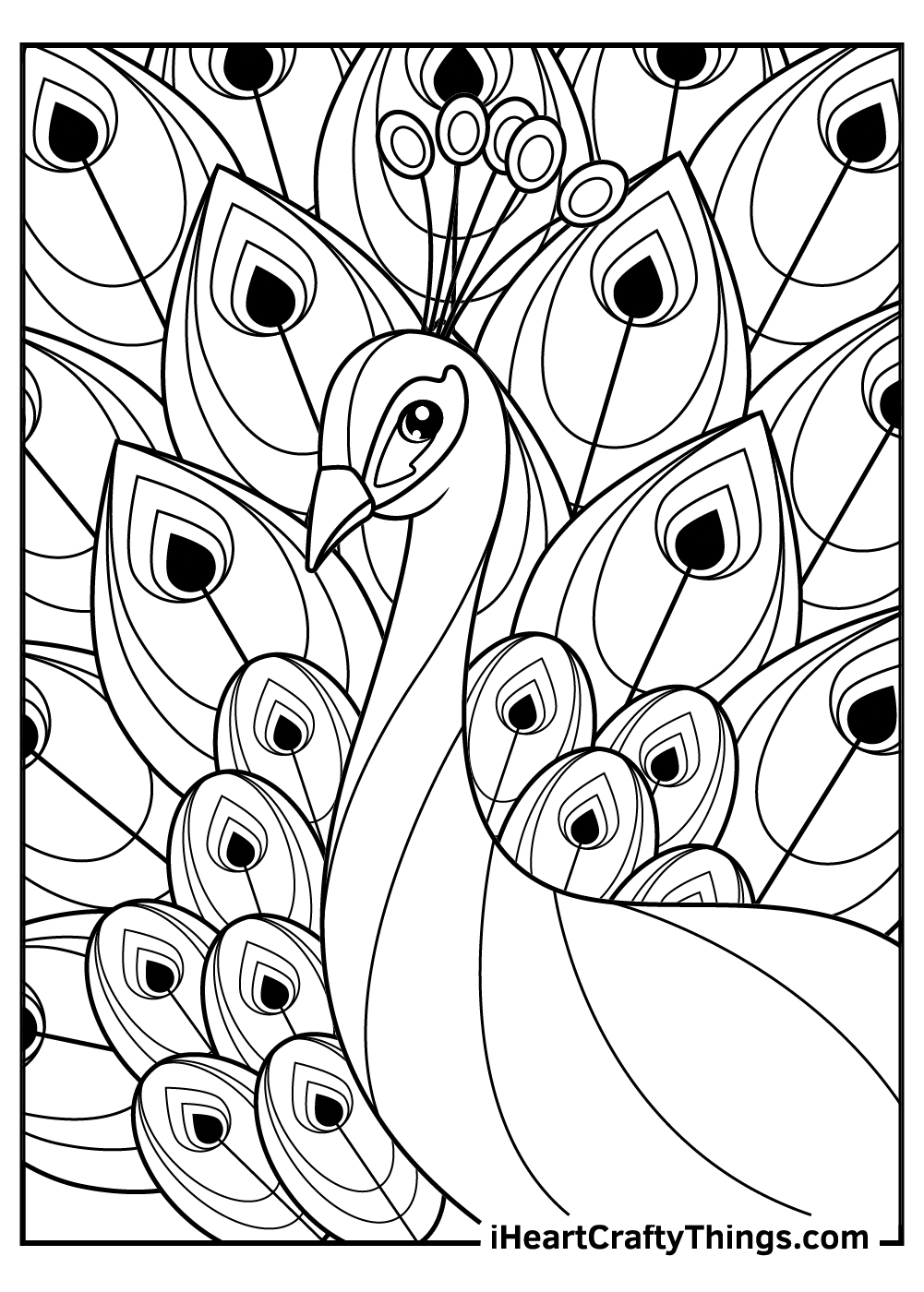 Ornate Peacock - Giant Detailed Coloring Poster for Kids and Adults