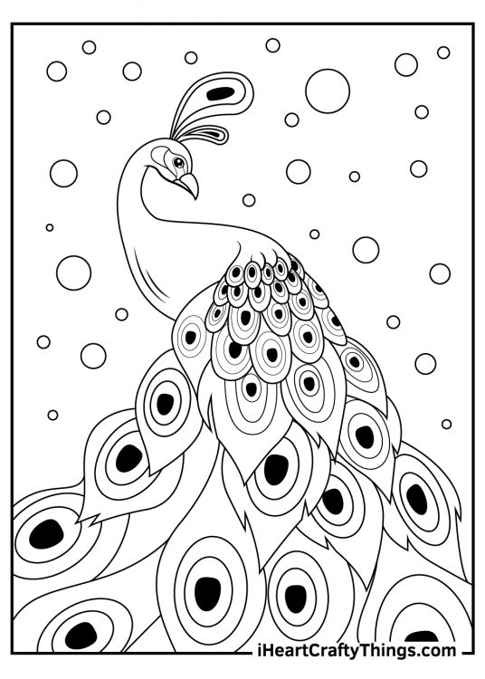 Detailed printable coloring sheet presenting majestic peacock surrounded by bubbles