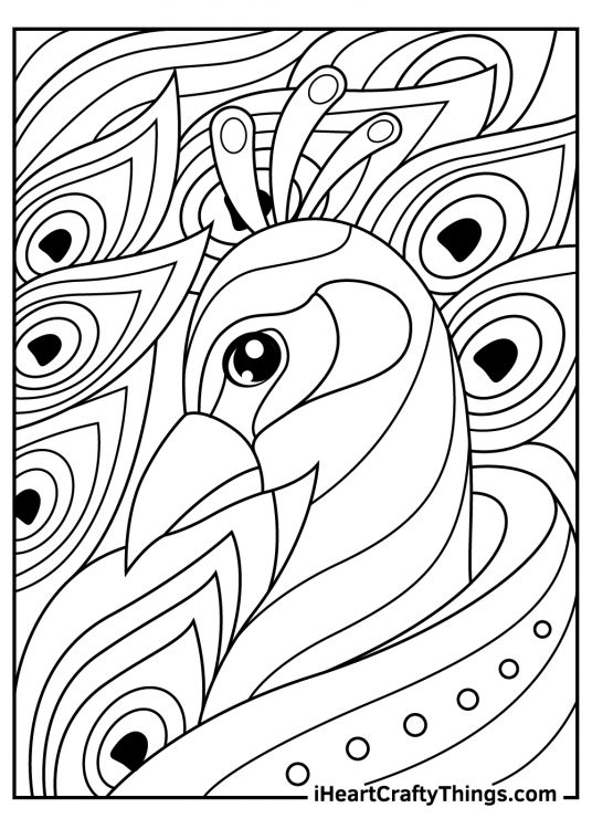 Printable coloring sheet presenting close up on a peacock face with feathers in the background