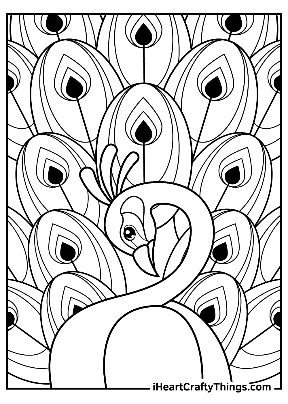 beautiful peacock coloring pages printable