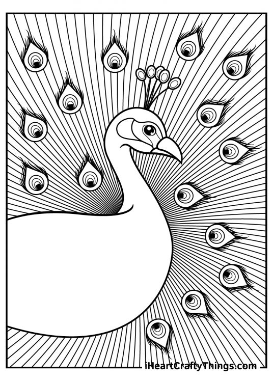 Detailed coloring page featuring peacock with its tail feathers pattern in the background