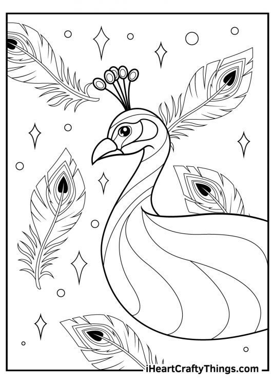 Picture for children featuring peacock with feathers and shapes floating behind him