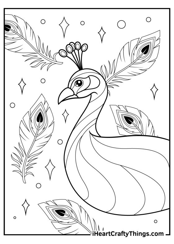 Peacocks Coloring Pages (100% Free Printables)