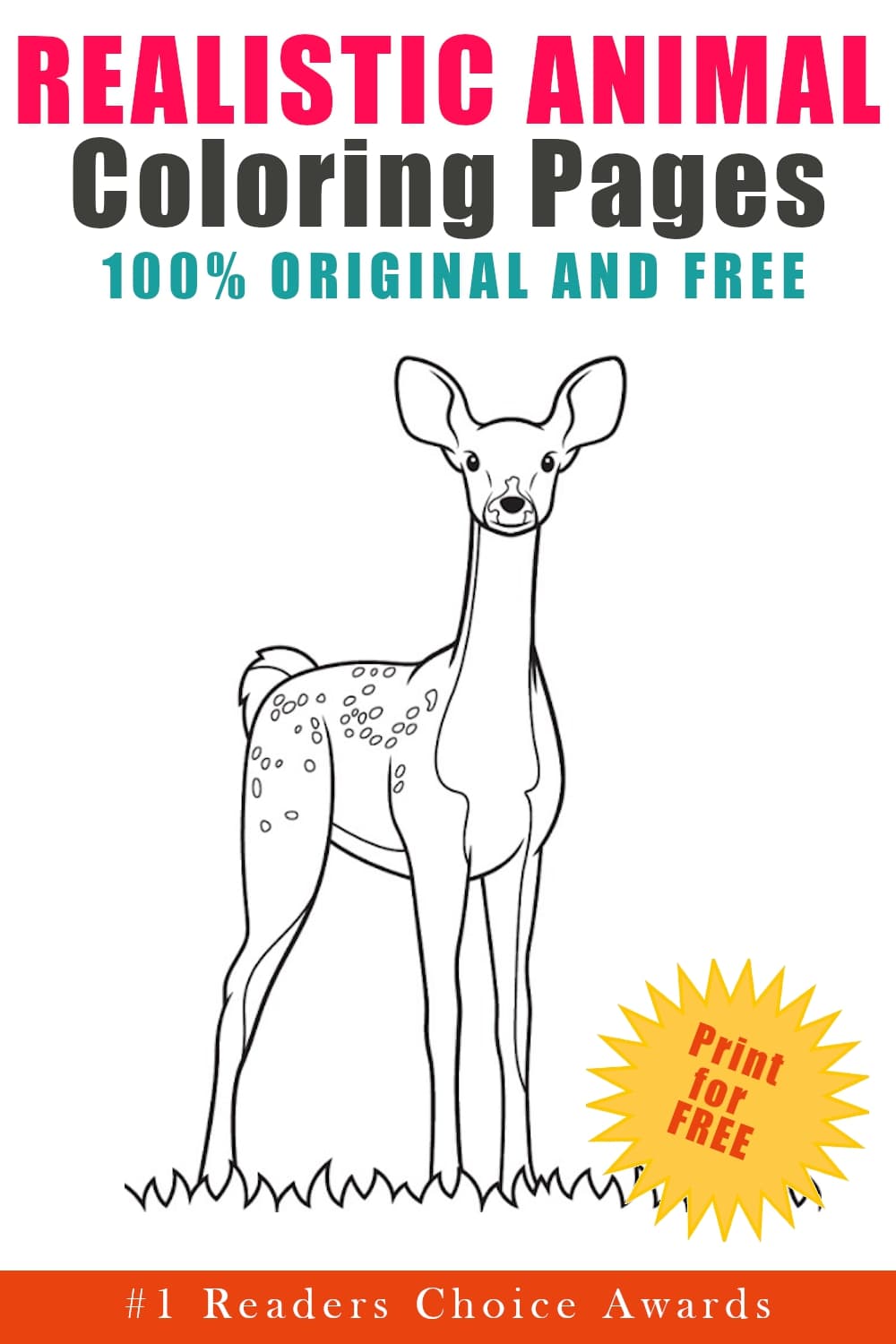 Realistic animal coloring pages book cover