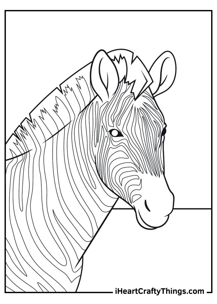 Coloring Pages Of Animal