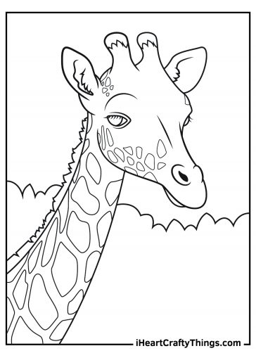 15 Realistic Animals Coloring Pages (100% Free Printables)