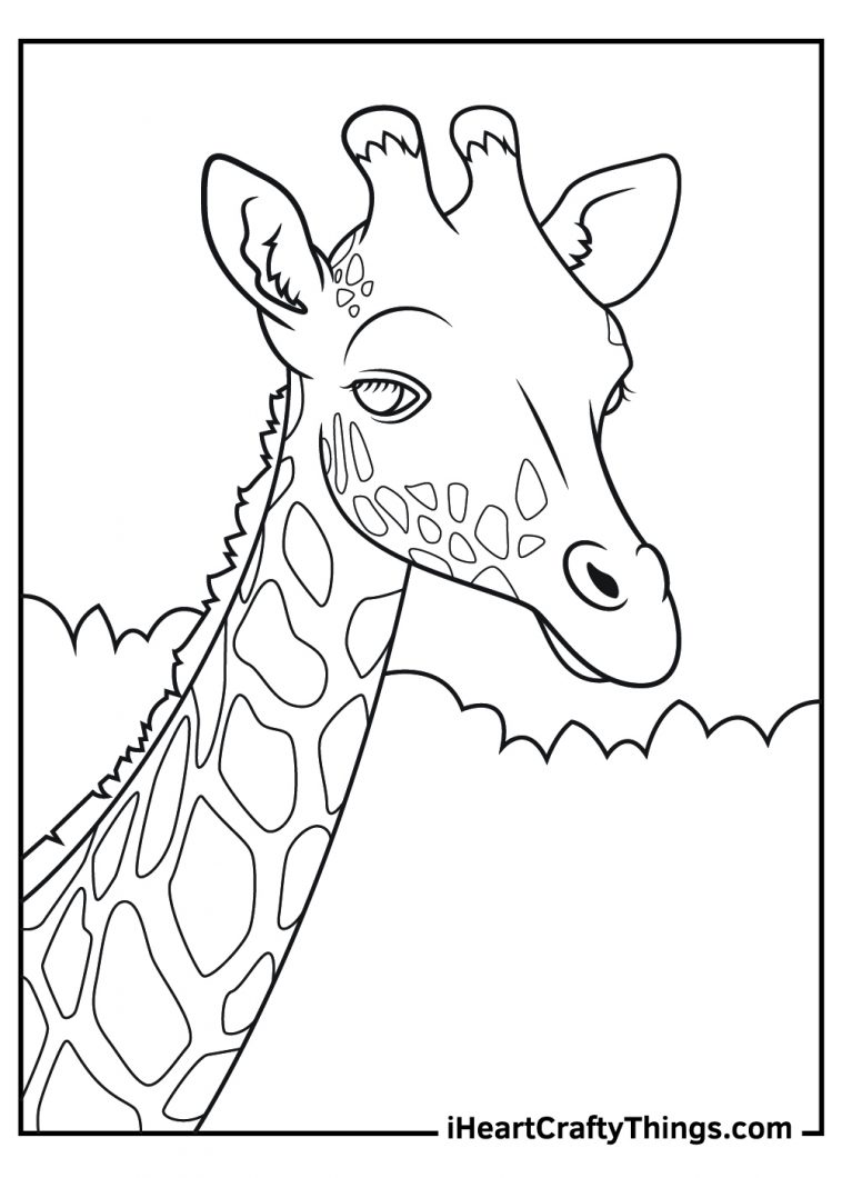 Printable Realistic Animals Coloring Pages (Updated 2022)