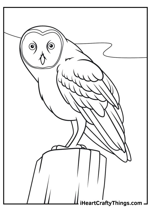 Printable Realistic Animals Coloring Pages (Updated 2022)