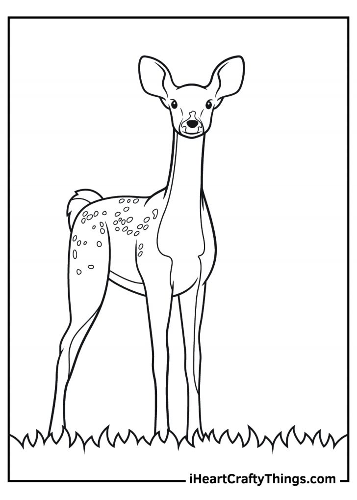 Realistic Animals Coloring Pages (100 Free Printables)