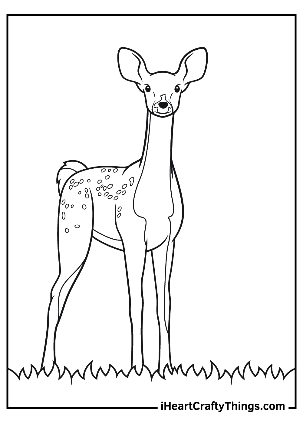 Free realistic animal coloring poster of a cute and gentle deer posing on the grass