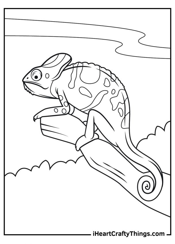 15 Realistic Animals Coloring Pages (100% Free Printables)