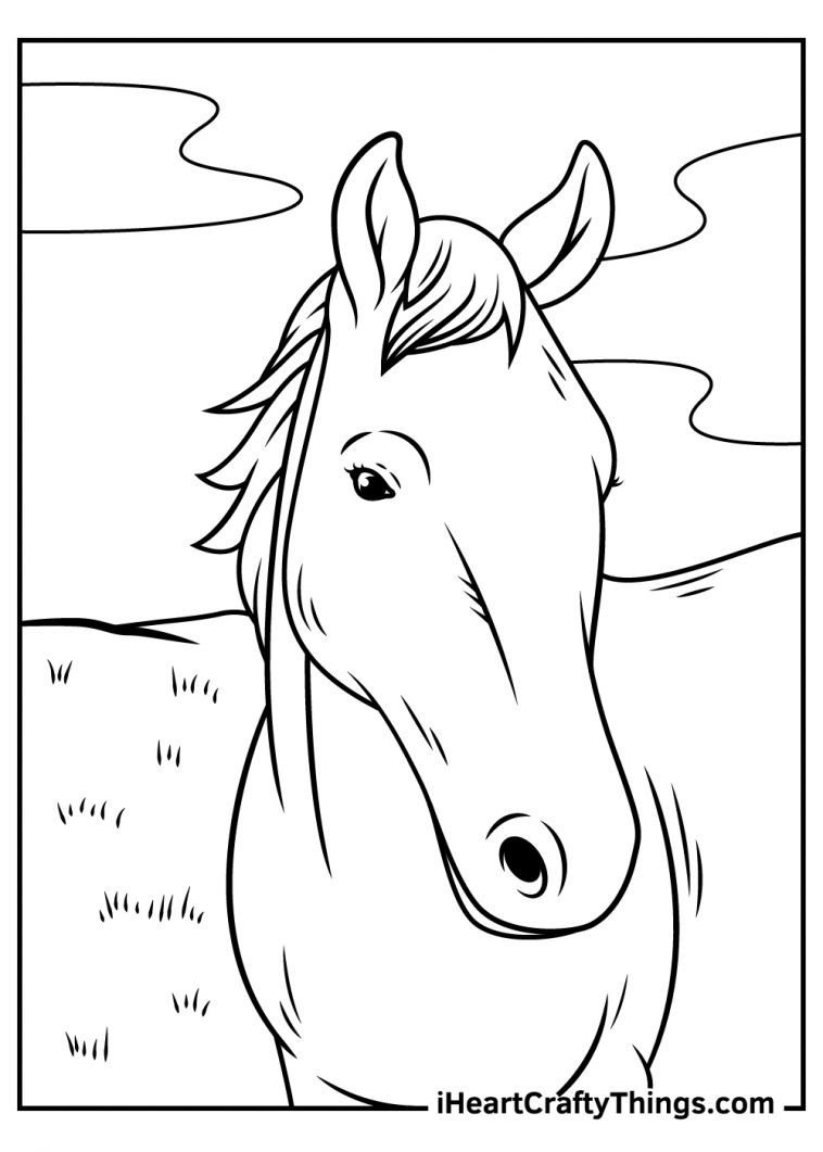 Realistic Horse Coloring Pages (Updated 2023)