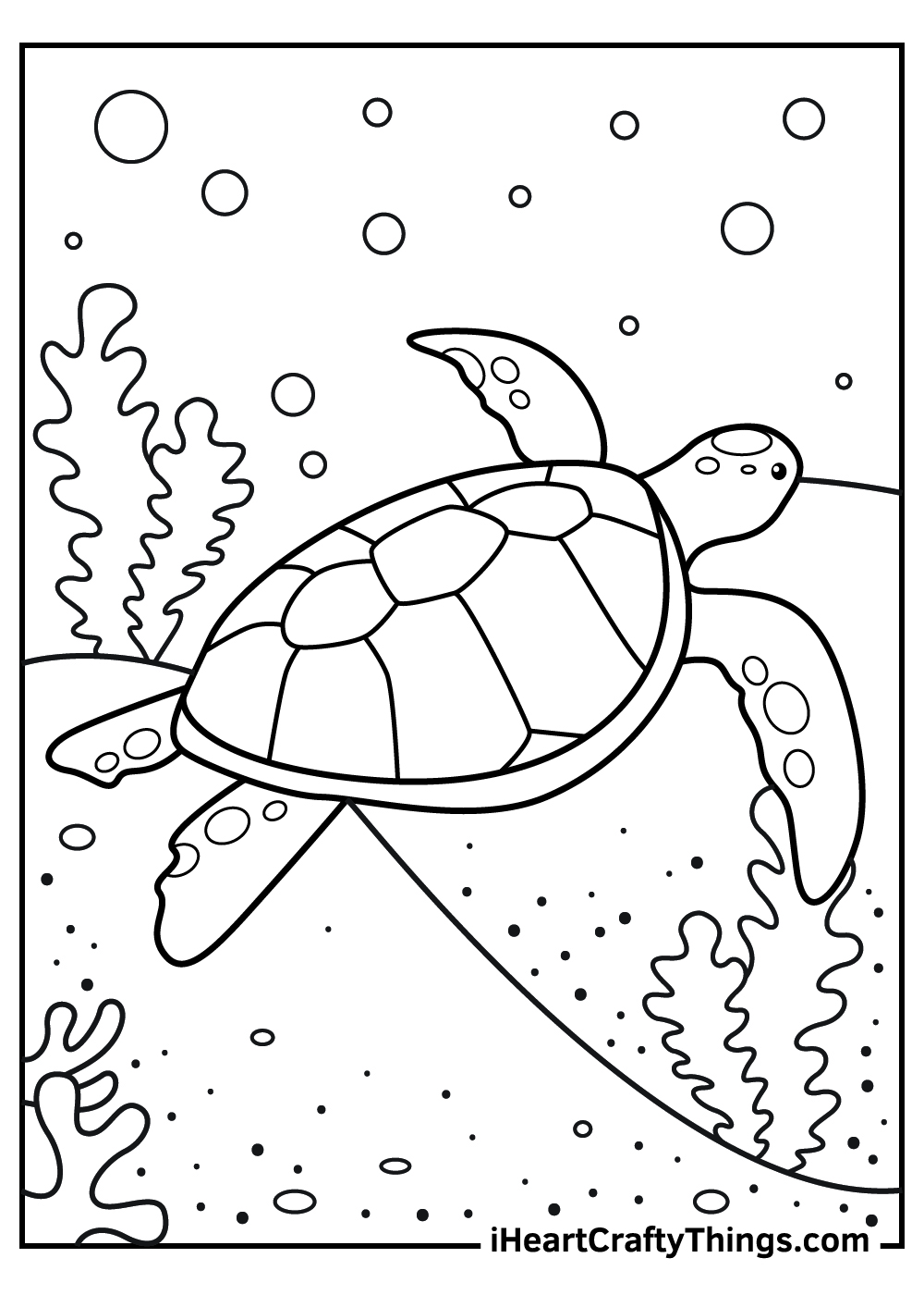 sea turtle coloring page