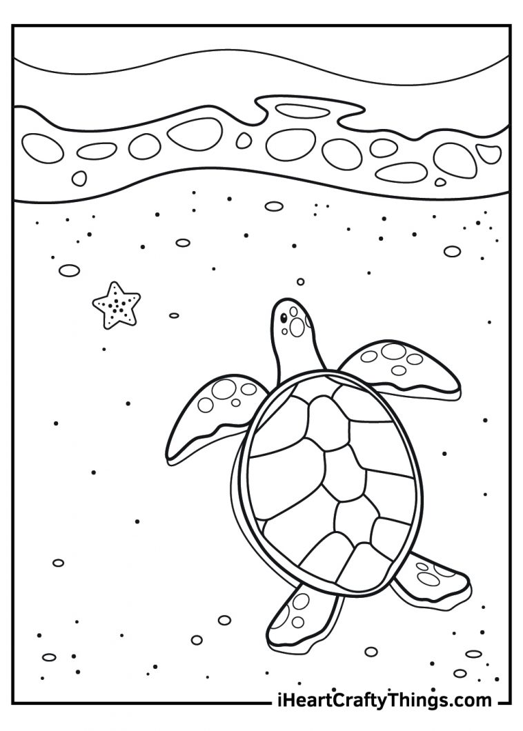 Sea Turtle Coloring Pages (Updated 2021)