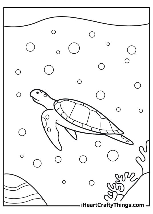 Image featuring sea turtle roaming around at the bottom of the sea with water bubbles all around it