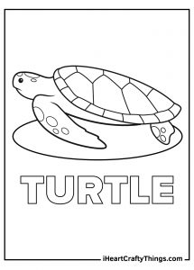 Sea Turtle Coloring Pages (100% Free Printables)
