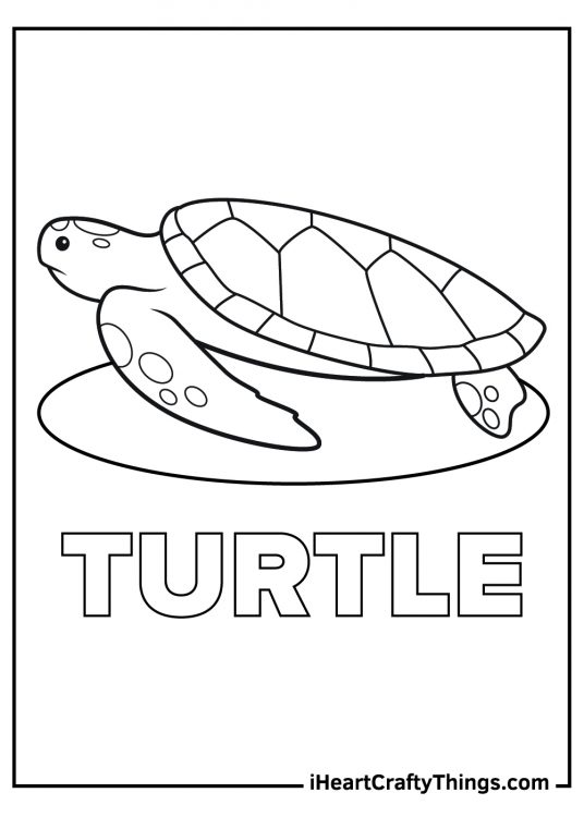 Sea turtle coloring pages