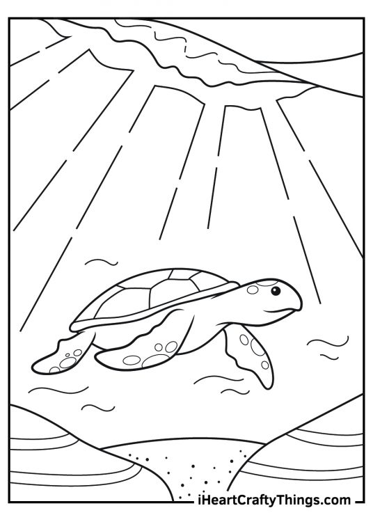 Coloring picture for children showing realistic sea turtle swimming under the sea