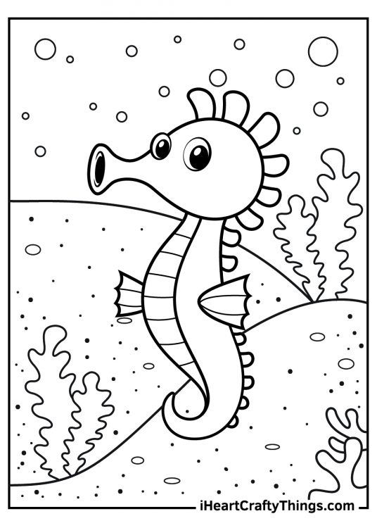 Seahorse Coloring Pages