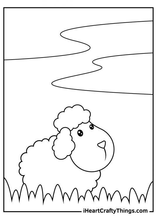 Image to color of a single sheep standing surrounded by grass and looking meekly to the sky
