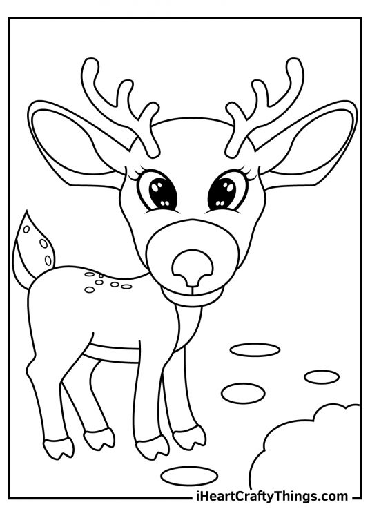 Simple animal coloring pages