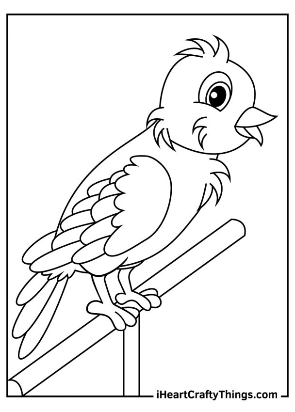 10 Simple Animal Coloring Pages (100 Free Printables)