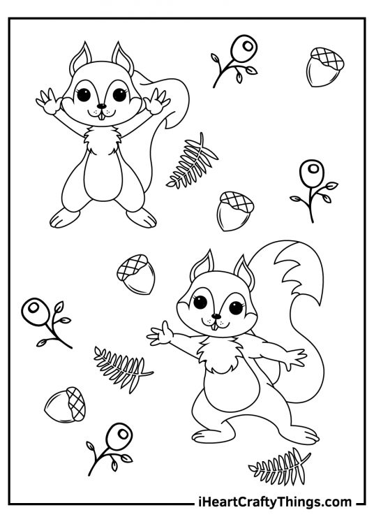 Coloring page for children presenting two cute squirrels surrounded by acorns plants and berries