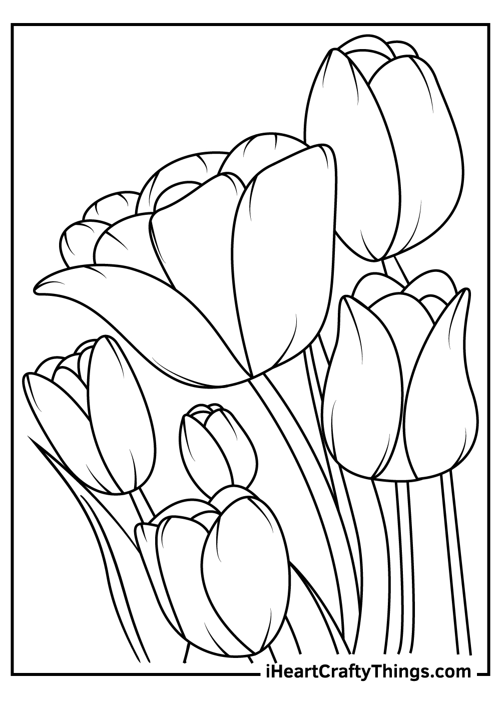 free printable tulip coloring pages 