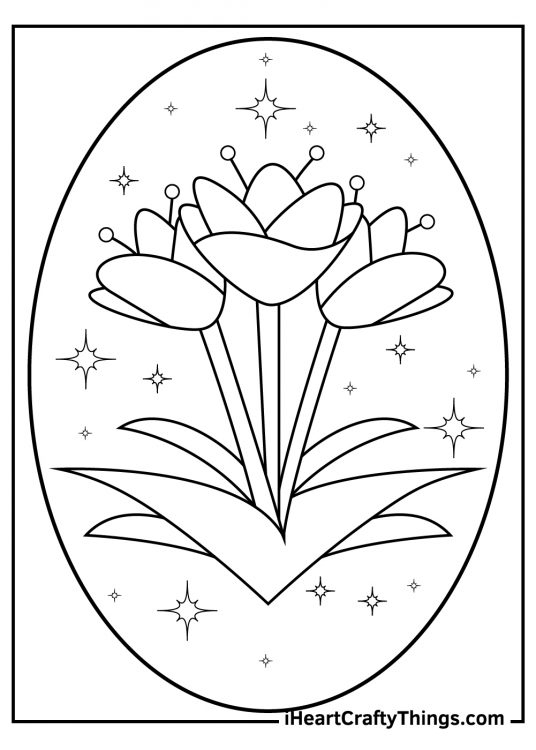 Tulip Coloring Pages