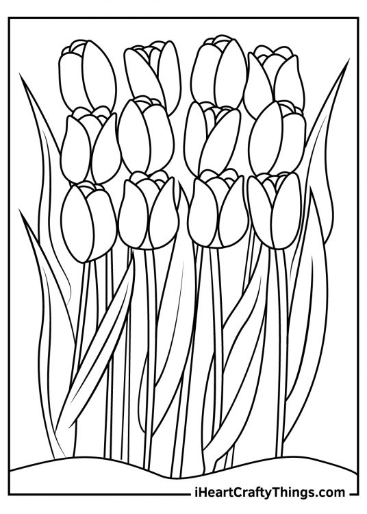 Tulip-themed coloring sheet presenting twelve beautifully sprouting and healthy tulips