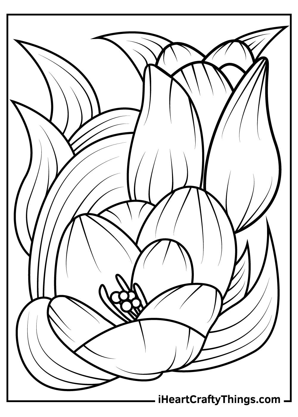 printable tulip coloring pages for kids