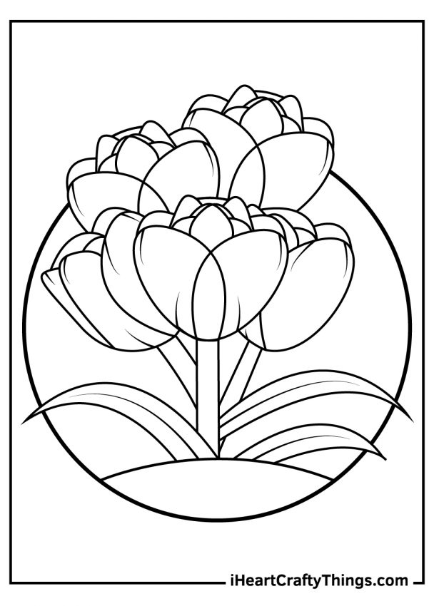 Tulip Coloring Pages (Updated 2021)