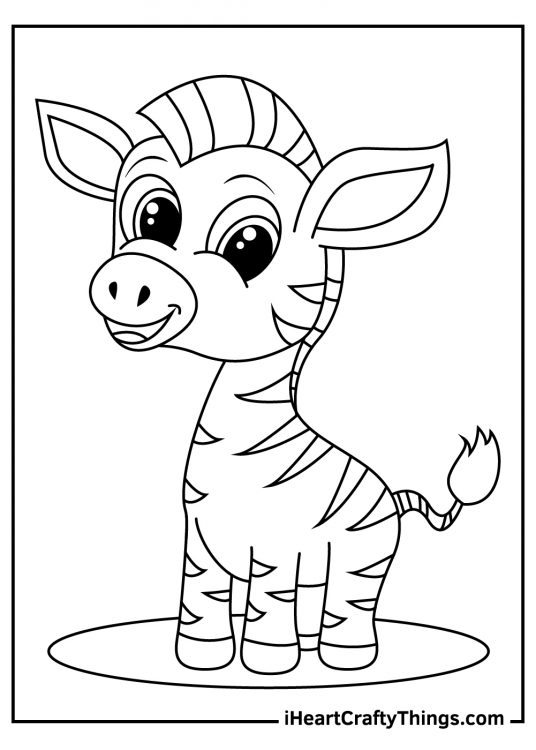 Coloring poster of a cartoony baby zebra with cute short little legs featured on a spotlight