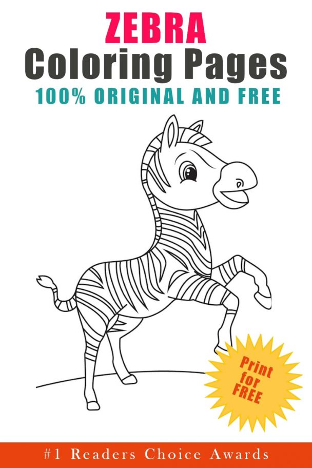 Printable Zebra Coloring Pages (Updated 2022)