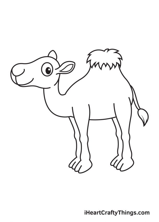 Camel Drawing - How To Draw A Camel Step By Step