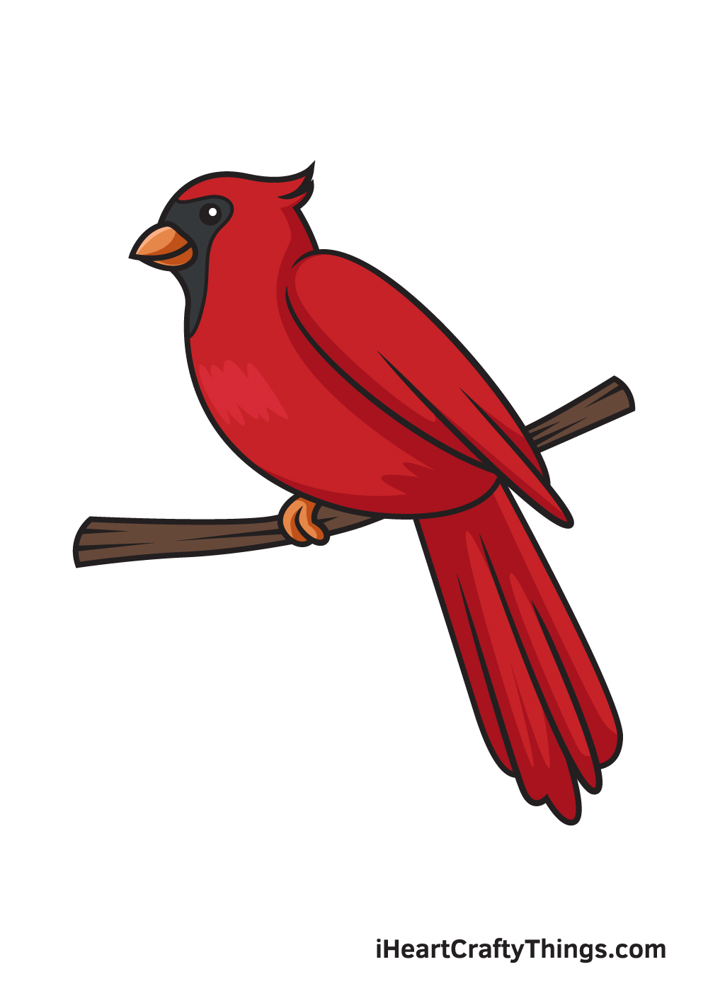 cardinal drawing 9 steps