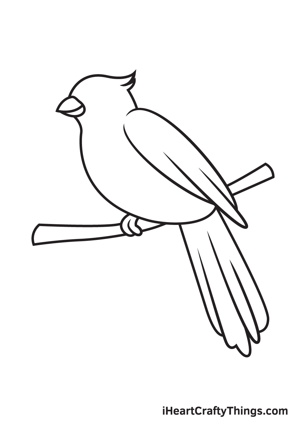cardinal drawing step 8