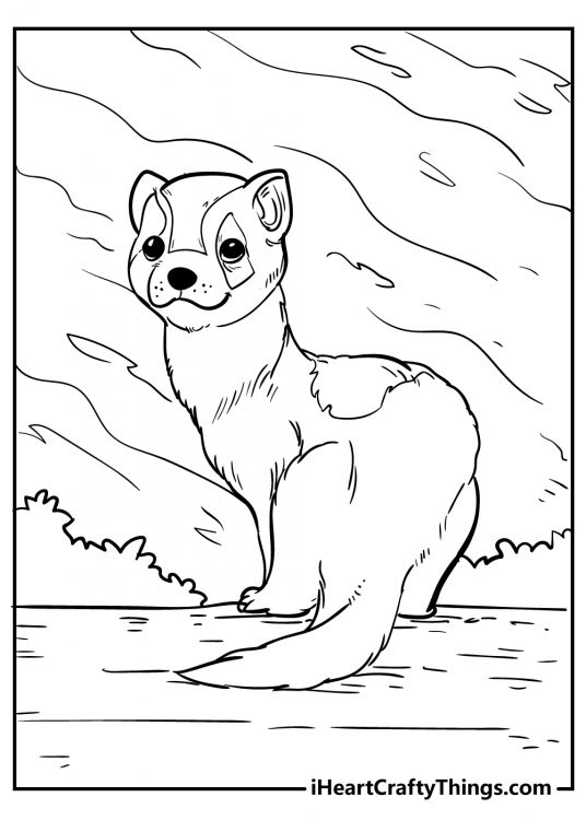 Cute Animals Coloring Pages (Updated 2021)