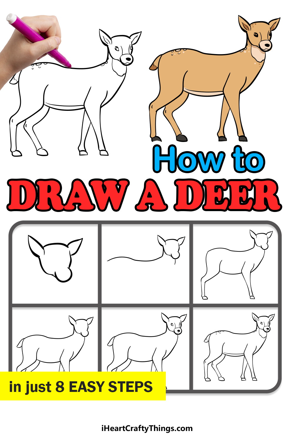 How To Draw A Doe