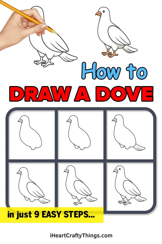 Dove Drawing - How To Draw A Dove Step By Step