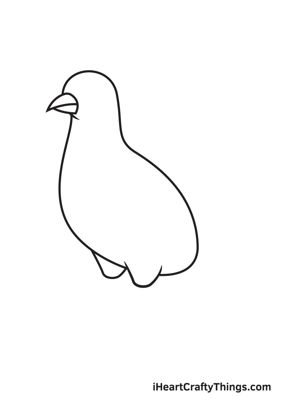 dove drawing step 5