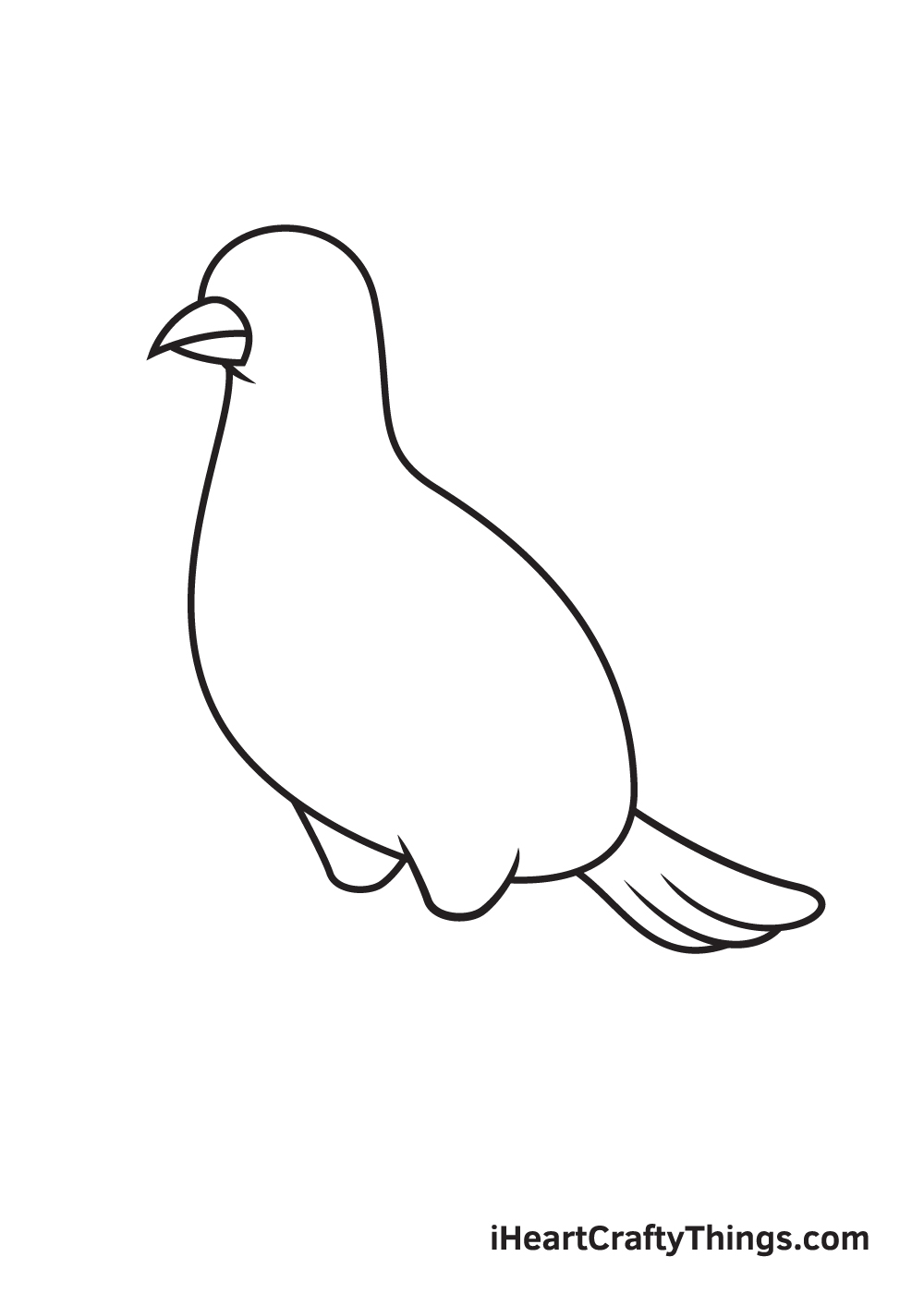 dove drawing step 6
