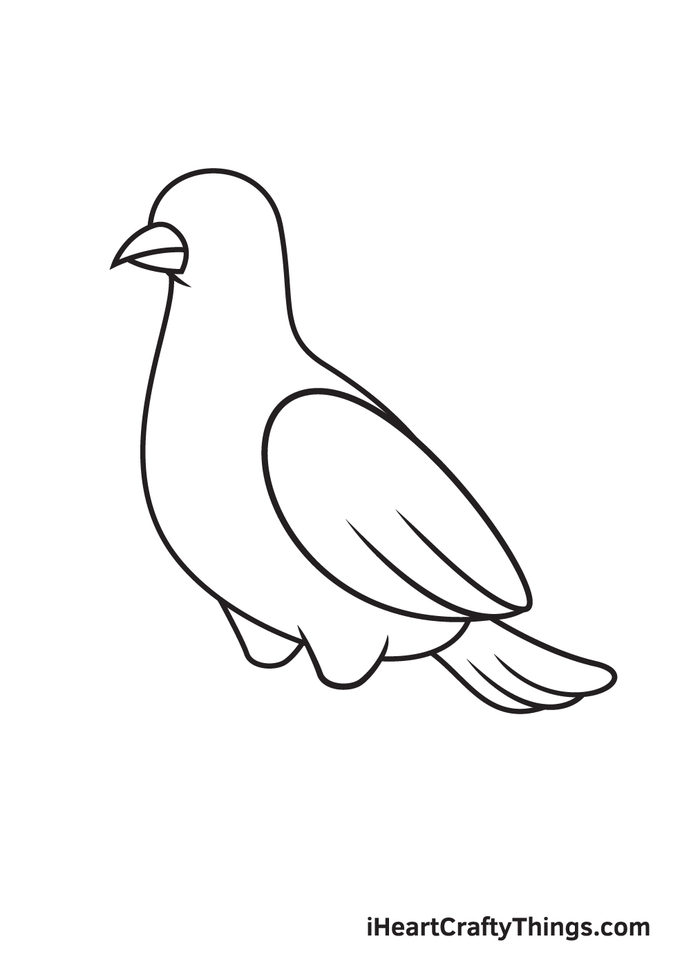 dove drawing step 7