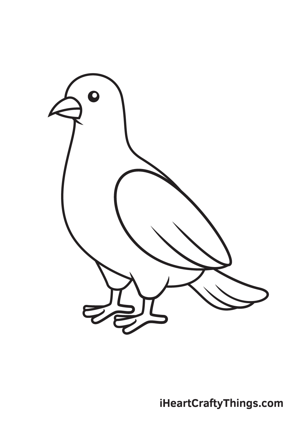 dove drawing step 9