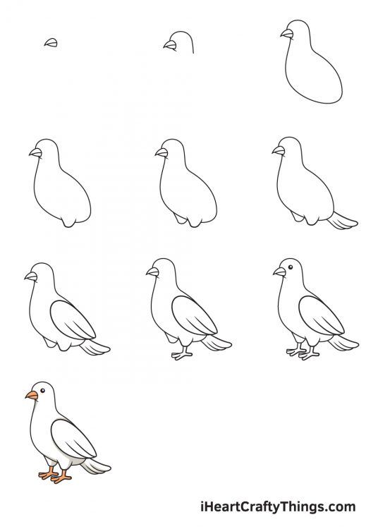 Dove Drawing - How To Draw A Dove Step By Step